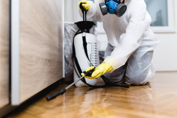 Best Mosquito Control Services  in Nyssa, OR