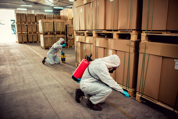 Best Flea Control Services  in Nyssa, OR