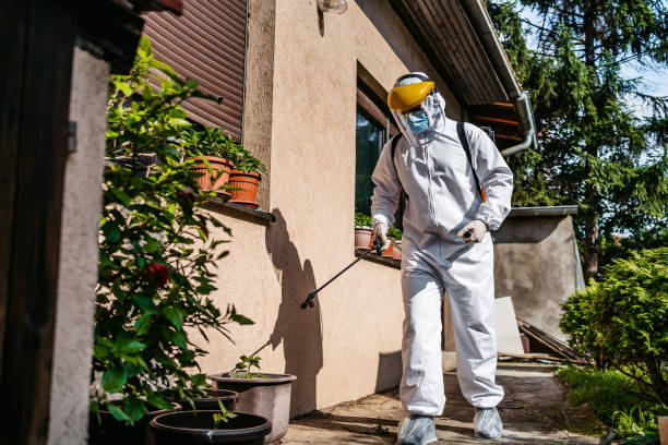 Best Affordable Pest Control Services  in Nyssa, OR