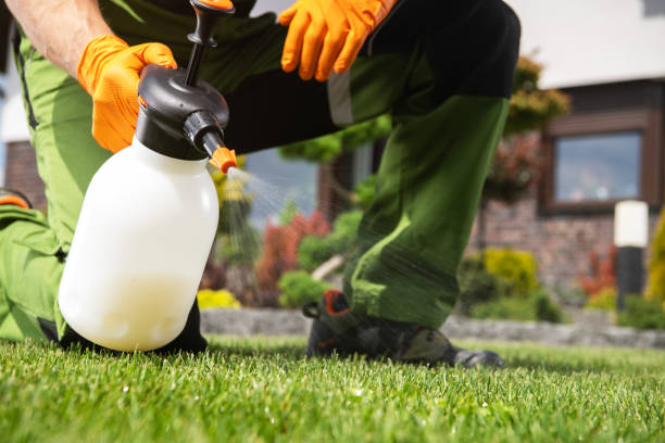 Best Cockroach Control Services  in Nyssa, OR