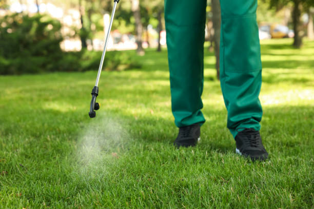 Best Pest Control Near Me  in Nyssa, OR