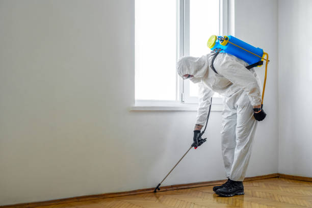 Flea Control Services in Nyssa, OR