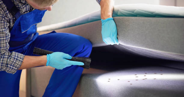 Best Termite Control Services  in Nyssa, OR