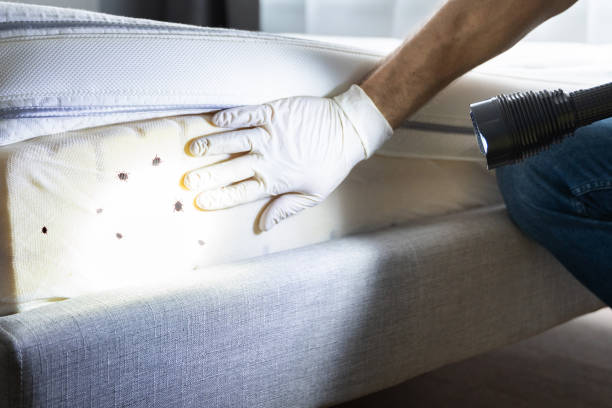 Best Pest Control for Businesses  in Nyssa, OR