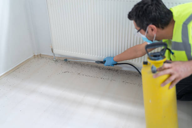Best Affordable Pest Control Services  in Nyssa, OR