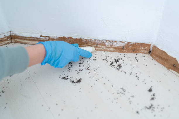 Best Pest Inspection Near Me  in Nyssa, OR