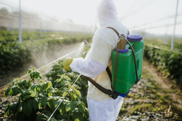 Professional Pest Control in Nyssa, OR